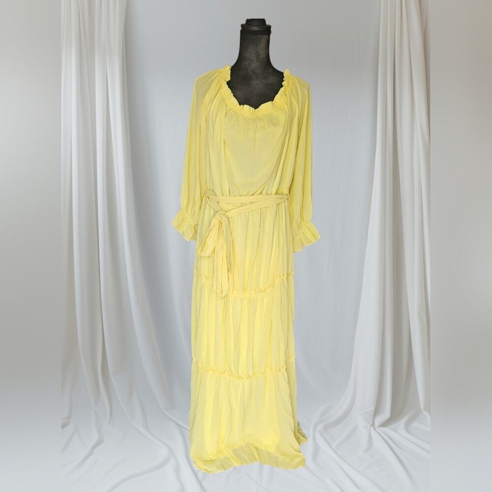 Faeristy NWOT Surplice Neck Bell Sleeves Swiss Dot Chiffon Dress